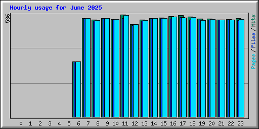 Hourly usage for June 2025