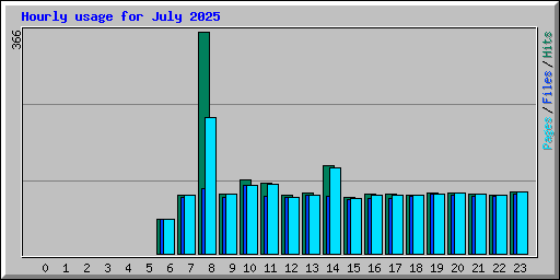 Hourly usage for July 2025