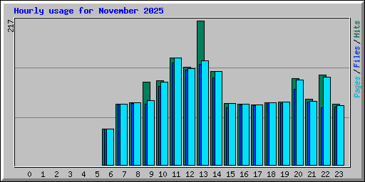 Hourly usage for November 2025