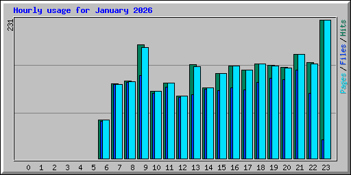 Hourly usage for January 2026